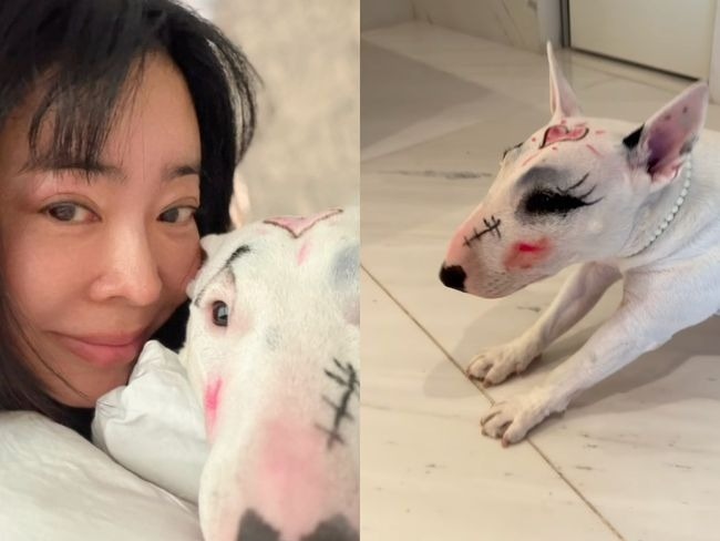 愛犬への“落書き”に「動物虐待」「正気かよ」とドン引きの声も…韓国女性歌手のSNS投稿が物議