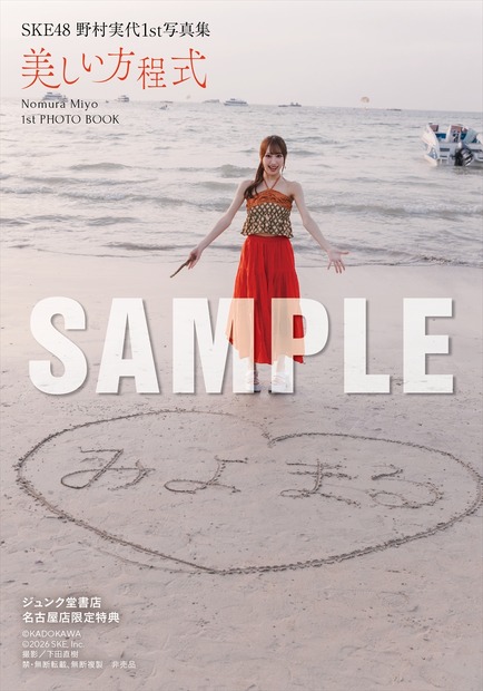 野村実代 1st写真集『美しい方程式』特典
