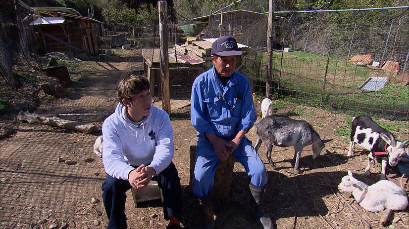 （ｃ）ABCテレビ