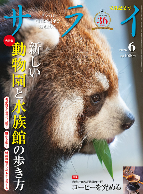 『サライ』 2026年 6月号（小学館）