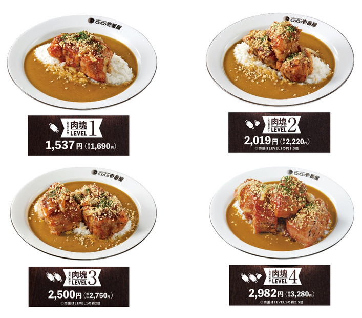 ホロ肉ドカンと豪快カレー