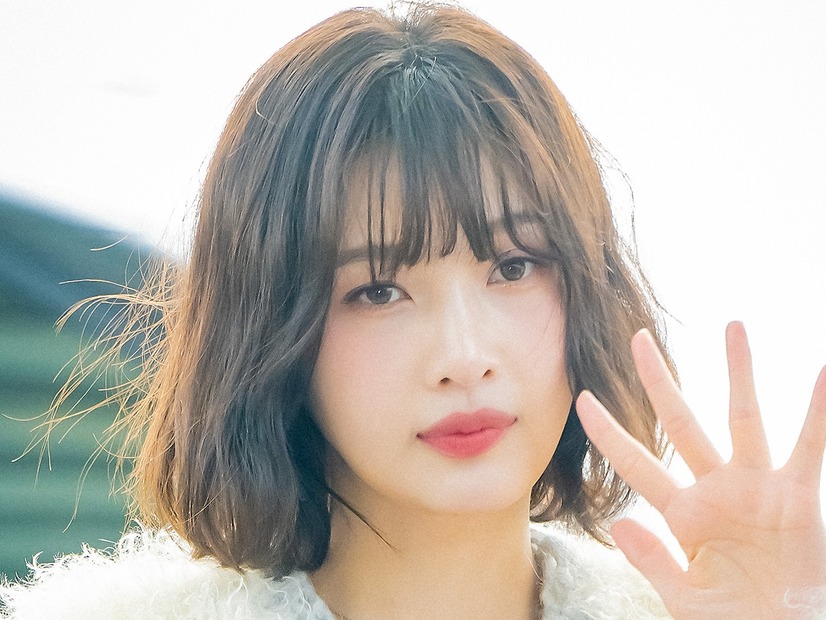 「今の仕事ができなくなったら…」現役K-POPアイドル、将来への不安から“トリマー資格試験”に挑戦