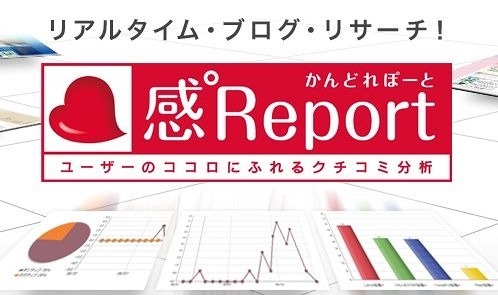 感°Report