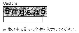 一般的なCAPTCHA認証の例