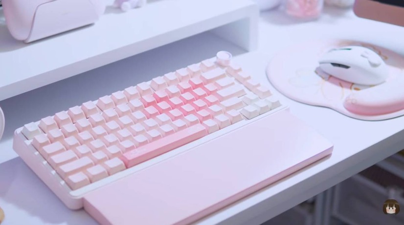 RazerのマウスとYUNZIIのキーボード（C）RafiRaffee