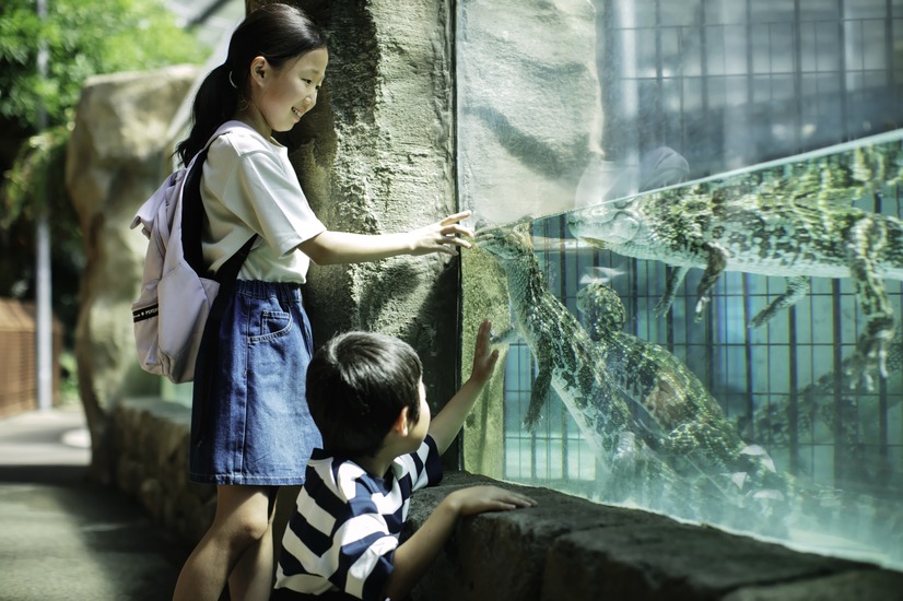 熱川バナナワニ園