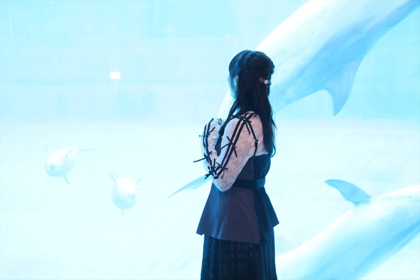 鎌田菜月『水族館の達人に聞いてみた』