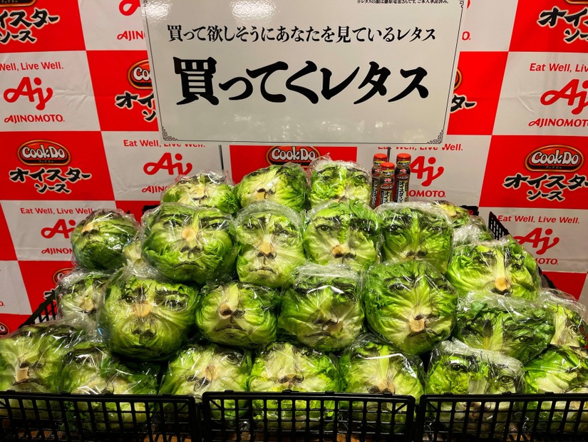 「Cook Do」オイスターソース 藤原竜也の「買ってくレタス」