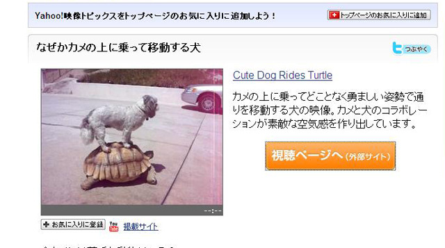 Yahoo!映像トピックス「なぜかカメの上に乗って移動する犬」