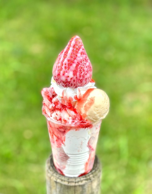 【ベリーズベリー】雪苺イートイン 751円(1個)