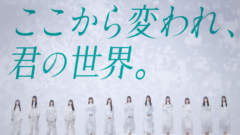 乃木坂46LLC / Seed&FlowerLLC