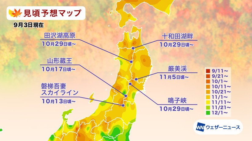 「第一回紅葉見頃予想2026」