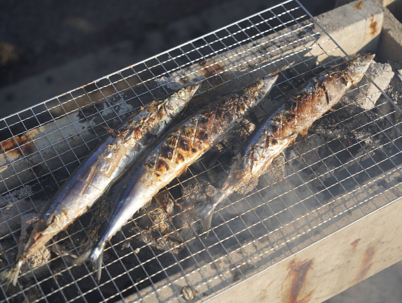 第41回「さんま祭り」