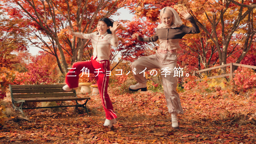 CMカット