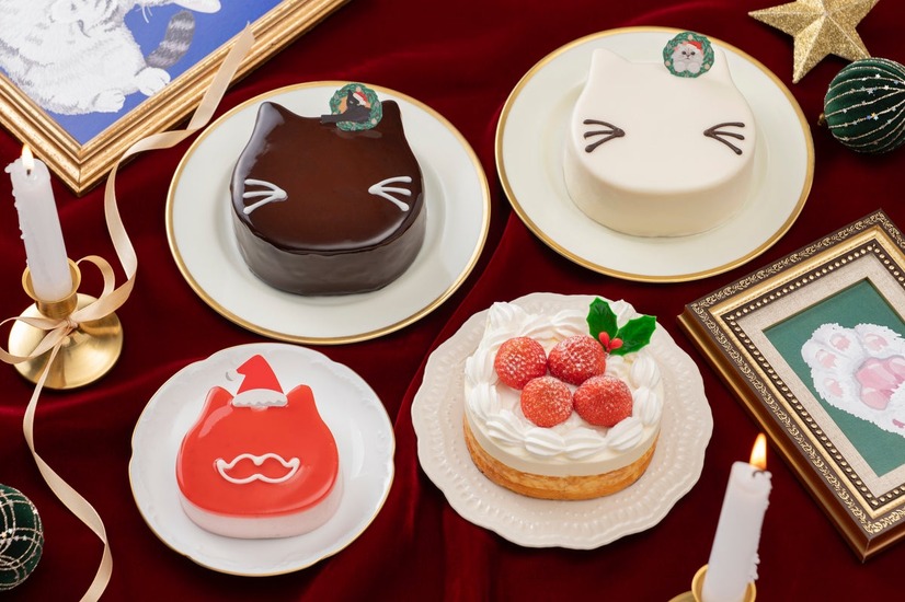 ねこねこのクリスマスケーキ全4品