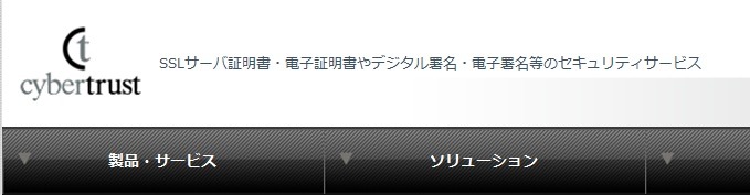 iPadが業務用端末に――「サイバートラスト デバイスID」がiPad対応に