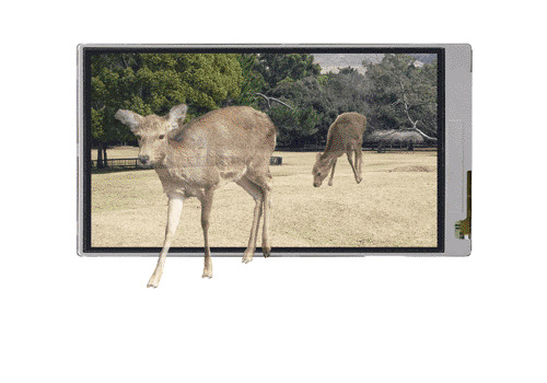 参考：2Ｄ/3Ｄ表示切り替え可能なタッチパネル付3Ｄ液晶ディスプレイ