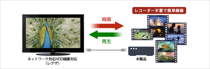 「レグザ」との接続イメージ
