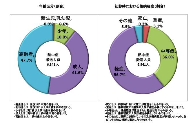 年齢別では高齢者が半数近くを占める