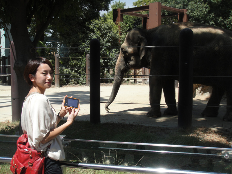 「上野動物園」