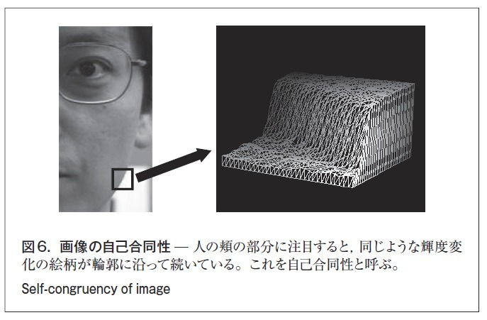 図6．画像の自己合同性