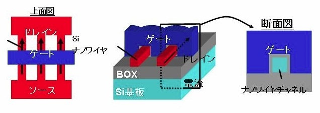 シリコンナノワイヤの基本構造