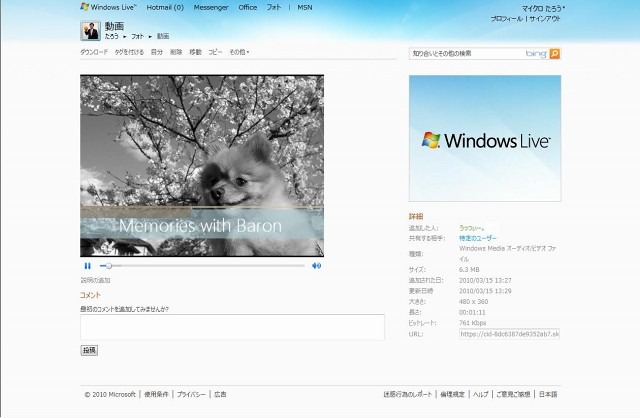 「Windows Live SkyDrive」画面