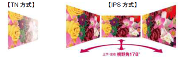 IPS206T-PN視野角