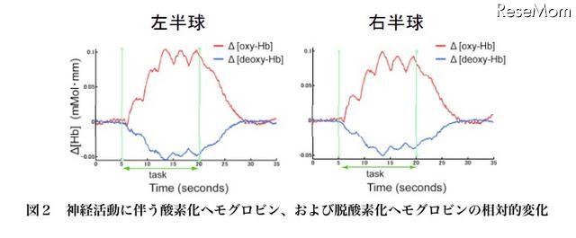 小学生、英単語を処理する脳活動の基本パターンを解明 神経活動に伴う酸素化ヘモグロビン、および脱酸素化ヘモグロビンの相対的変化