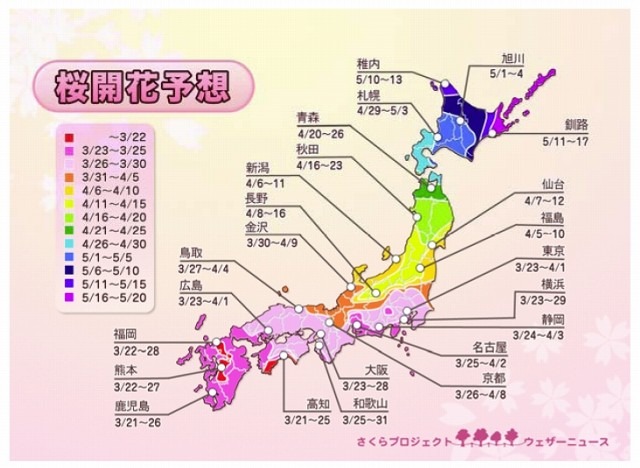 桜開花予想