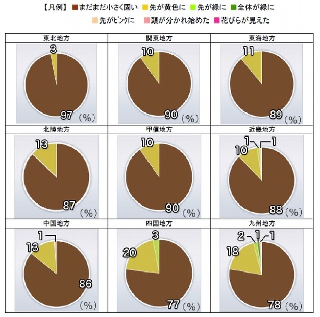 つぼみ調査による全国の桜の生長状況
