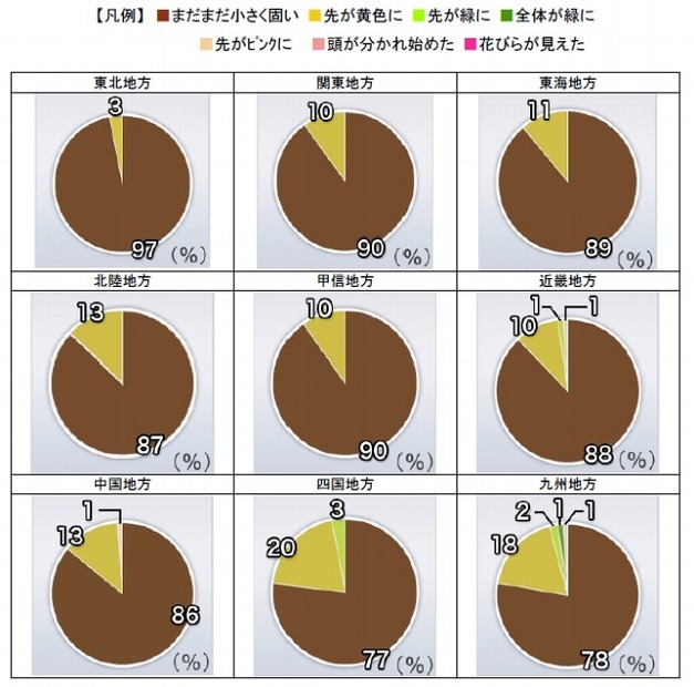 つぼみ調査による全国の桜の生長状況