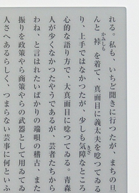 きちんとルビが表示されるのは嬉しい。読めない漢字が出てきたときに助かるという単純な話ではなく、作品によっては、作者が「こう読ませたい」という意図で通常とは異なる「読みがな」を振っているケースもあるからだ