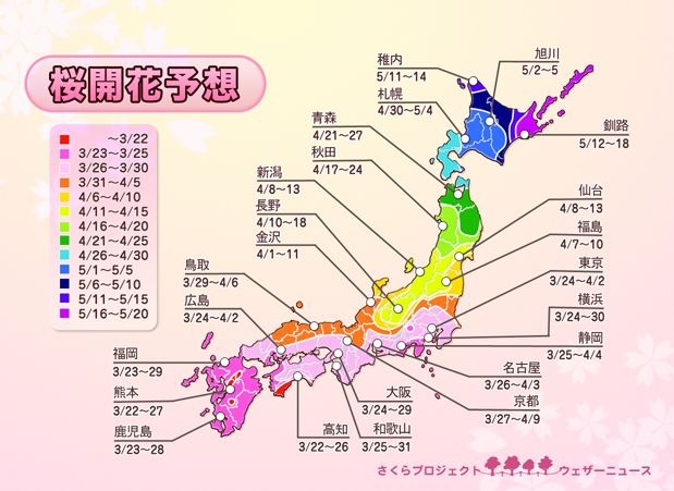 桜開花予想