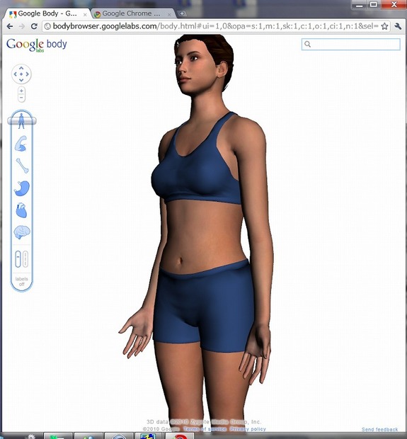 「Google Body Browser」。3Dグラフィックにより、回転操作やズームイン／アウトで人体の各部位を自由に閲覧できる