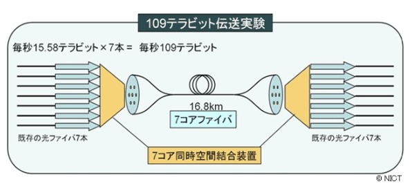 実験概要