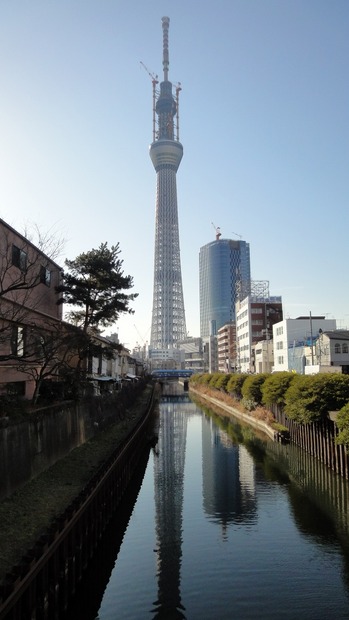 東京スカイツリー（3月18日、十間橋より撮影）