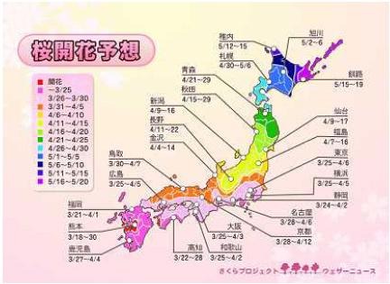 桜開花予想。西日本、東日本では例年より遅れ気味