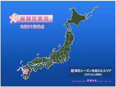 桜開花実況図。まだ九州の一部でしか開花していない