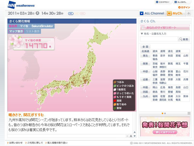 ウェザーニュース「さくらCh.」