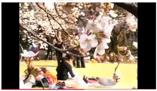 動画の一部