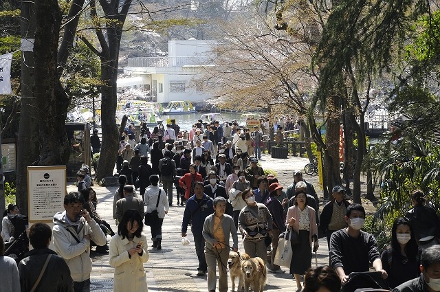 吉祥寺 井の頭公園