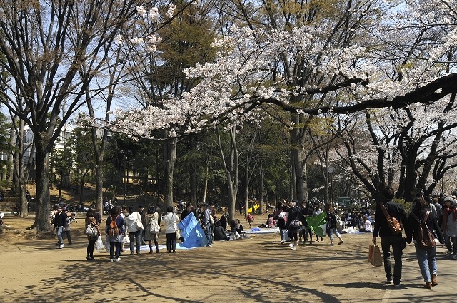 吉祥寺 井の頭公園