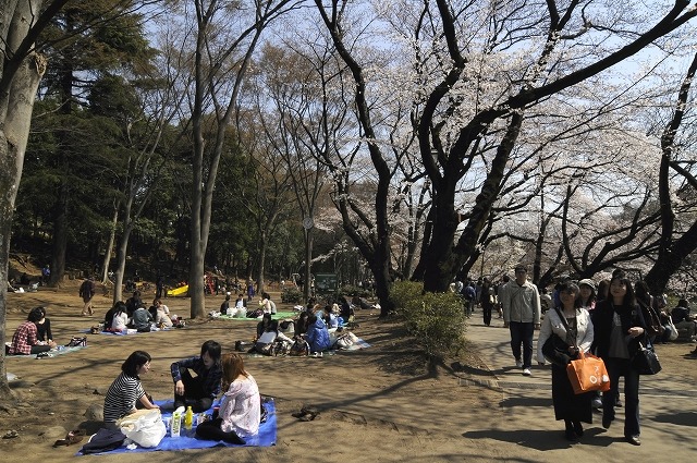吉祥寺 井の頭公園