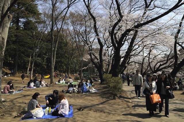 吉祥寺 井の頭公園