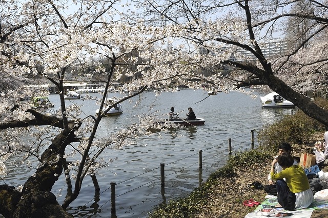 吉祥寺 井の頭公園
