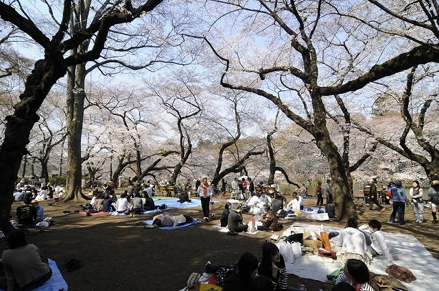 吉祥寺 井の頭公園