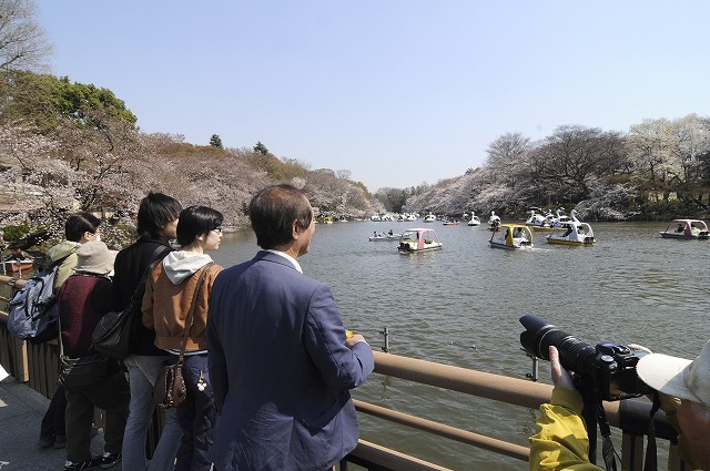 吉祥寺 井の頭公園