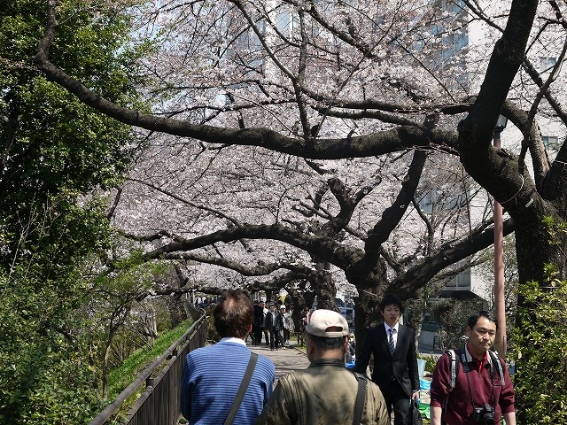 市ヶ谷近辺