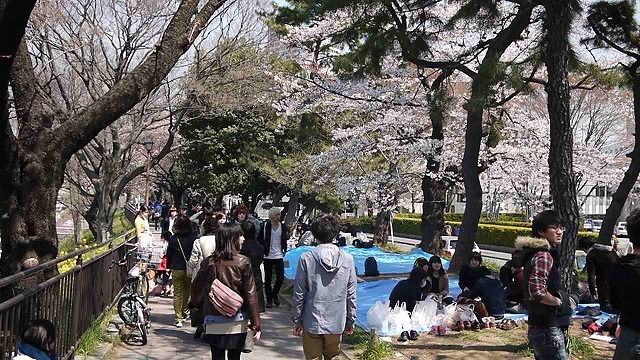 市ヶ谷近辺